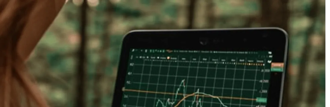 forex fibonacci chart
