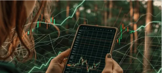 forex fibonacci chart
